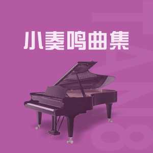 海頓：小奏鳴曲 C大調(diào)（第一樂(lè)章）