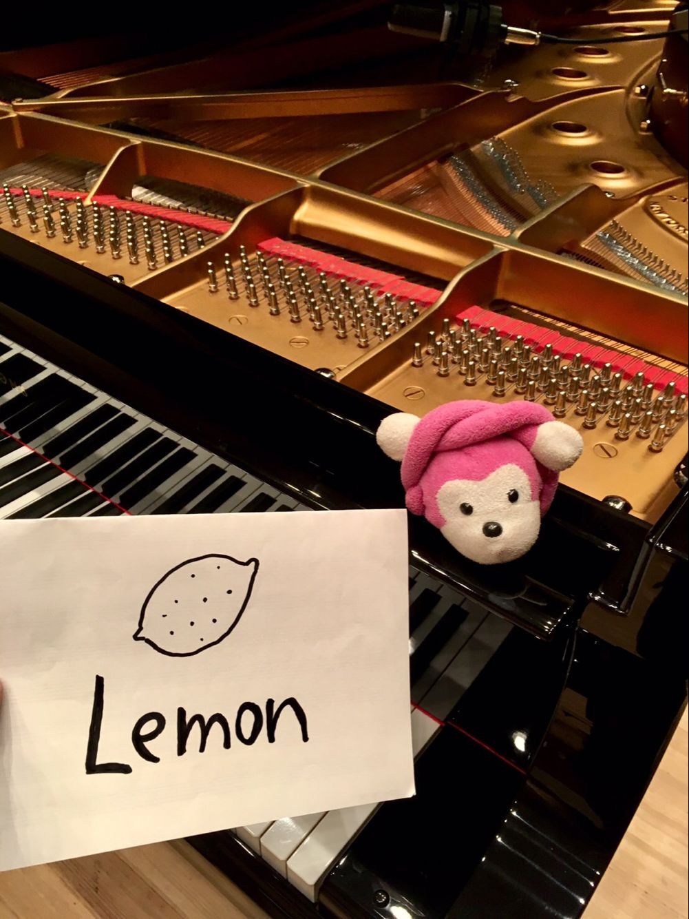 Lemon-觸手猴