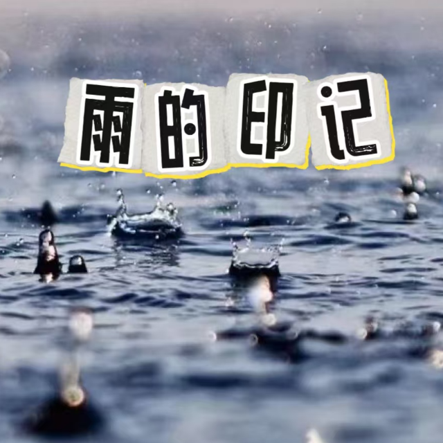 雨的印記（C調）