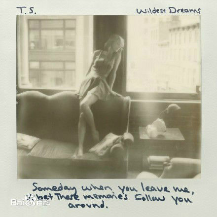 Wildest Dreams